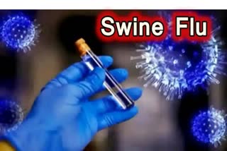 Swine Flu in Jind