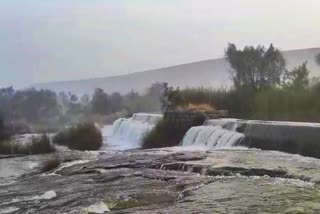 kaleshwaram water into kudavelli