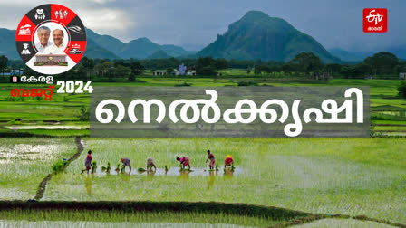 Kerala Budget 2024  കേരള ബജറ്റ് നെല്‍കൃഷി  സംസ്ഥാന ബജറ്റ് 2024  KN Balagopal Budget 2024