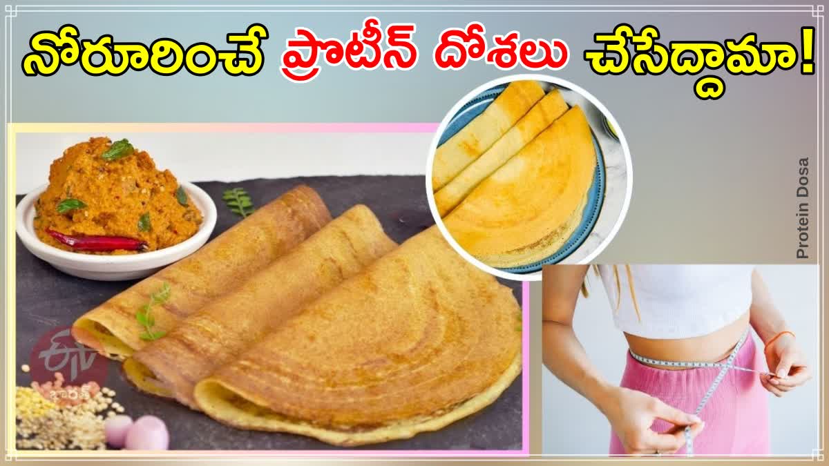 Healthy Protein Dosa Recipe