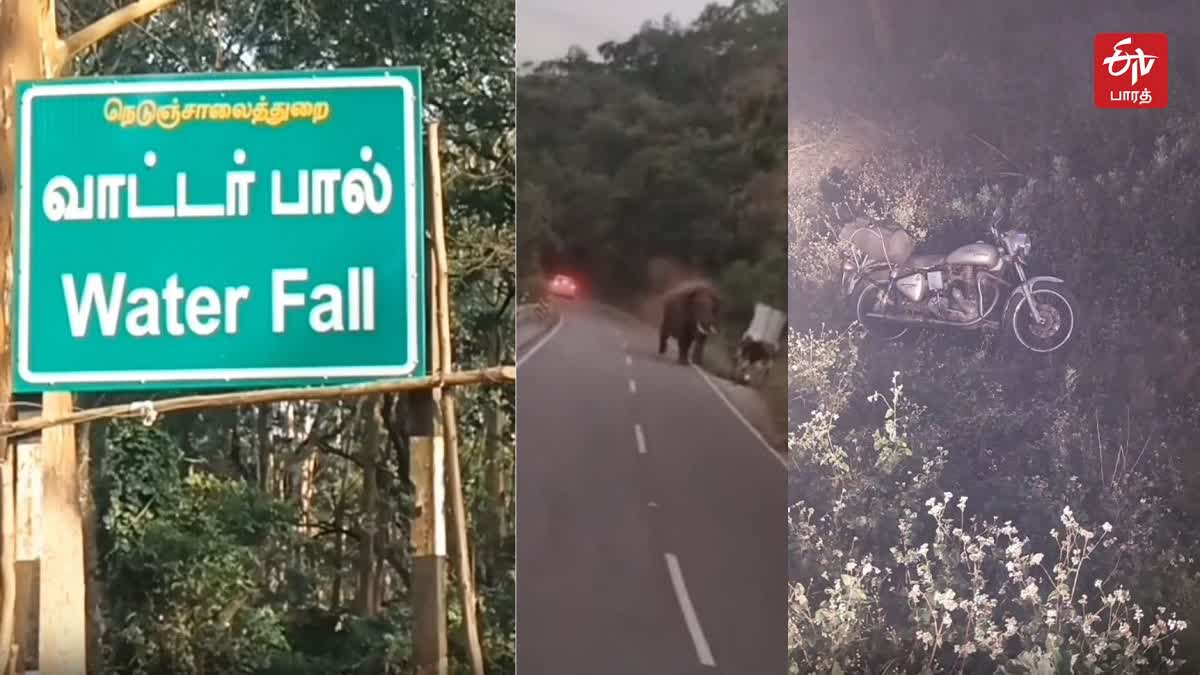 வால்பாறை காட்டு யானை விவகாரம்