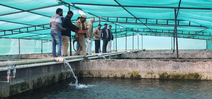 Fish Farming Revolution: When UP’s Women Entrepreneurs Bait More With Heart, The PMMSY Way