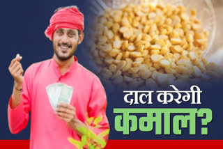 Daal MSP Price Madhya pradesh