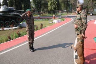 Explosive Detection Dog 'Teena' Honored By Indian Army’s Tiger Division On Retirement