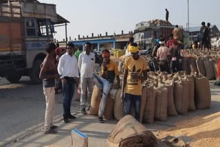 MADHYA PRADESH E ANUGYA PORTAL