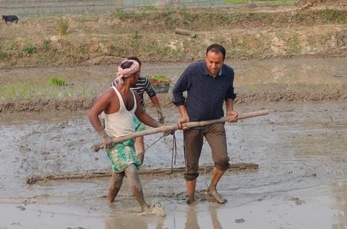 Raijor Dal spokesperson Mehboob Muktar is busy in the paddy fields