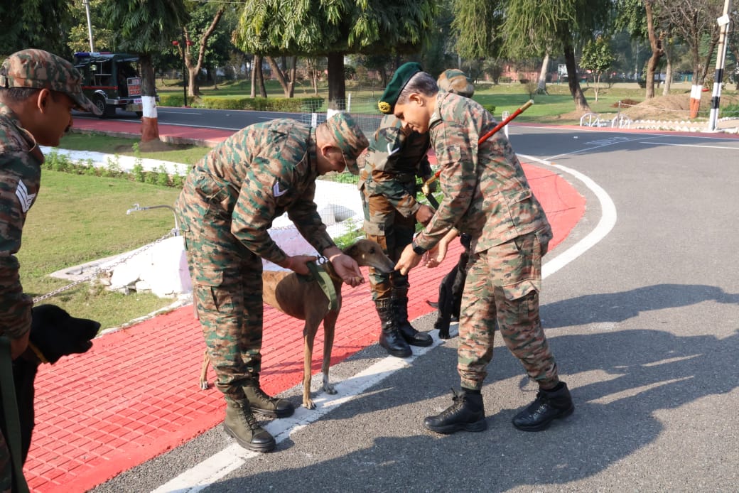 Explosive Detection Dog 'Teena' Honored By Indian Army’s Tiger Division On Retirement