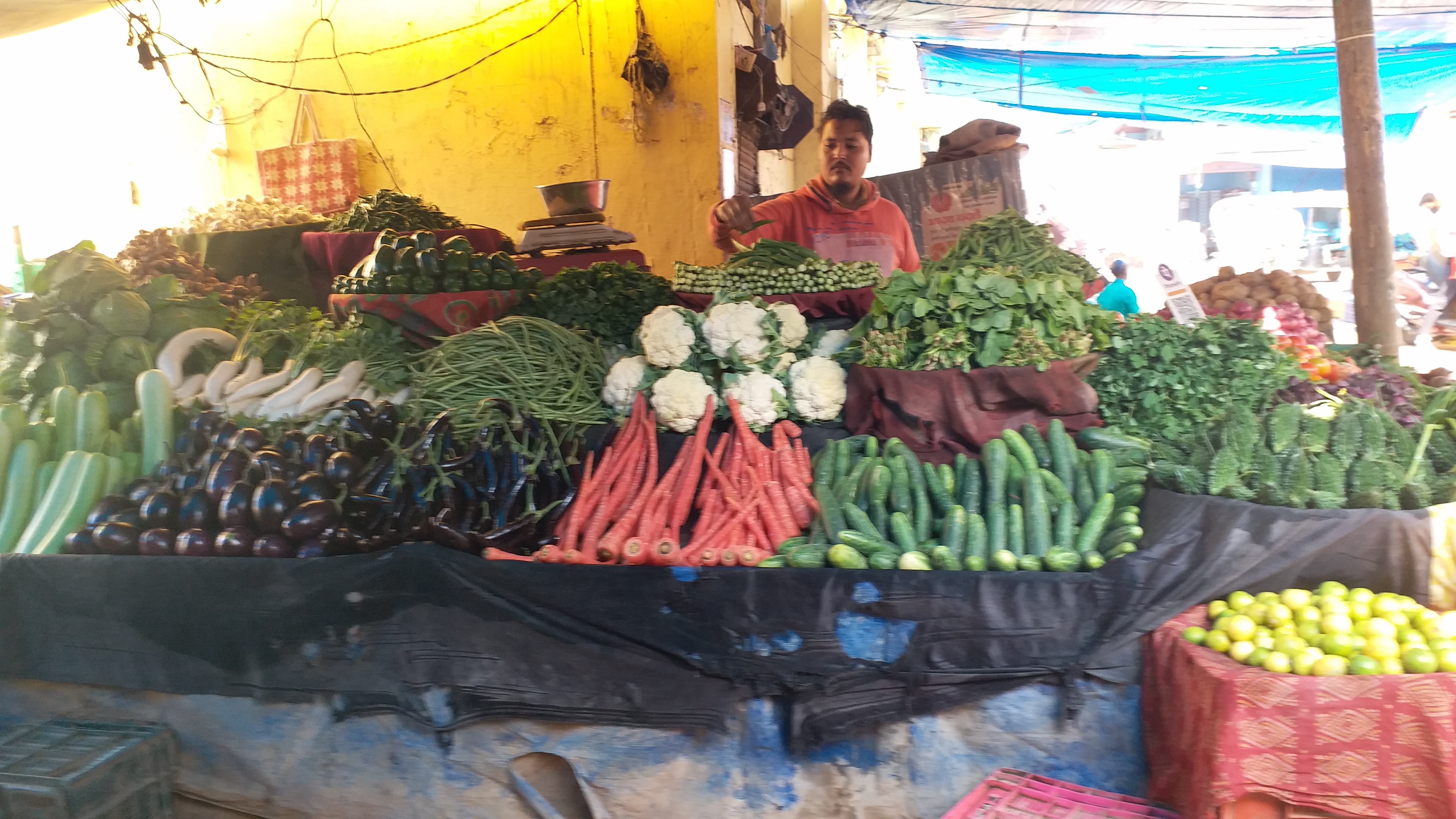 Shahdol vegetables price 10 per kg