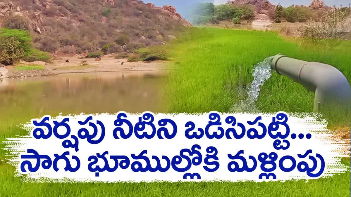 Farmers Cultivating Crops in 250 acres by Rainwater