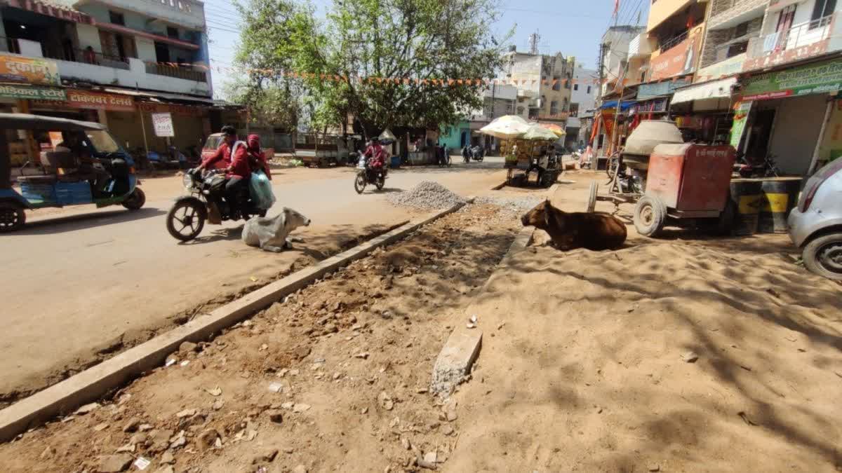 Dhamtari Pathway construction work