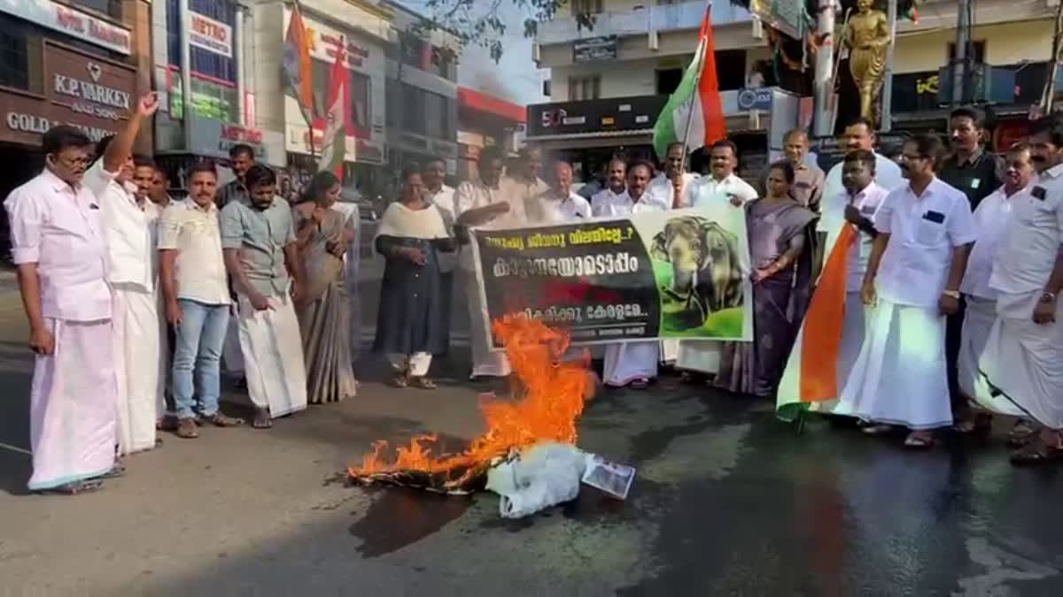 Congress protest in Kattappana  Neriamangalam wild elephant attack  കട്ടപ്പനയിൽ കോൺഗ്രസ് പ്രതിഷേധം  നേര്യമംഗലം കാട്ടാന ആക്രമണം  നേര്യമംഗലം കോൺഗ്രസ് പ്രതിഷേധം