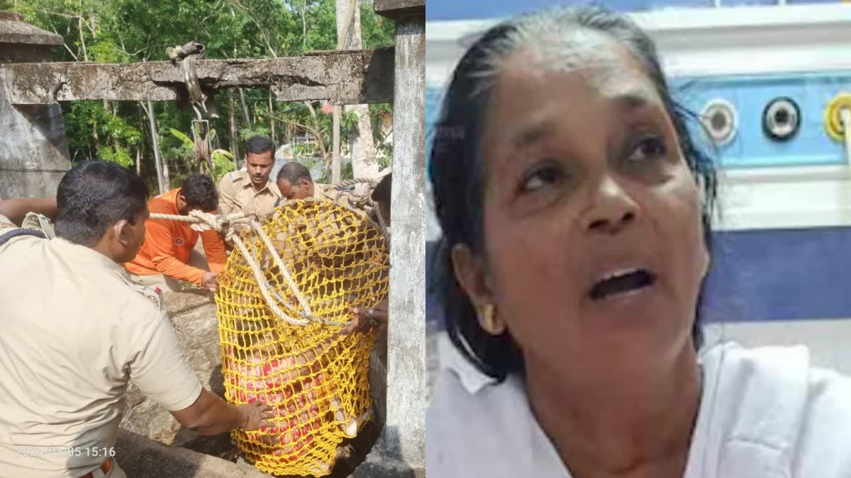 House Wife Terrified by wild boar  വീട്ടമ്മ കിണറ്റിൽ വീണു  കാട്ടു പന്നി ആക്രമണം  House Wife Terrified Wild Boar  Wild Boar