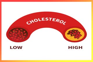 Cholesterol news