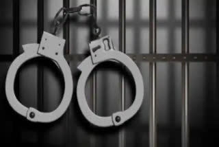 'Pro-Pakistan slogans' in Karnataka: Three persons arrested; FSL confirms veracity