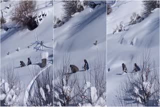 Heavy Snowfall in Lahaul Spiti