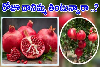 Benefits of Pomegranate Fruit