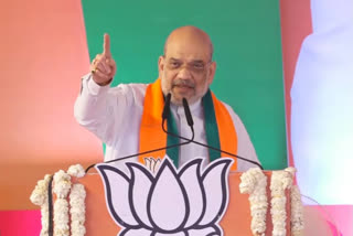 How can parties promoting dynasties strengthen country's democracy, says Amit Shah