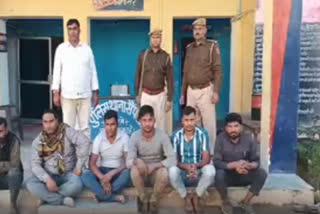 117 cattle seized in Dholpur