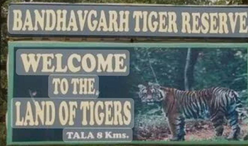 Bandhavgarh Tiger Death