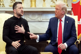 Zelenskyy Trump Controversy