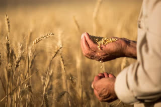 પ્રધાનમંત્રી ગરીબ કલ્યાણ અન્ન યોજના