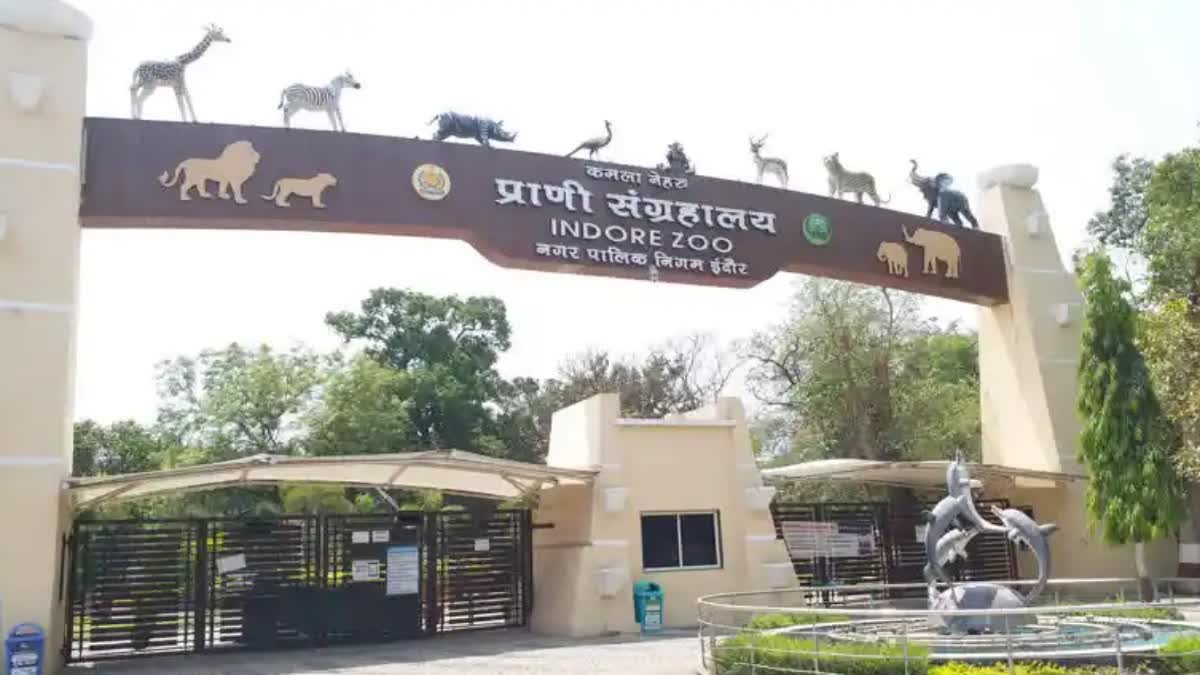 INDORE KAMALA NEHRU ZOO