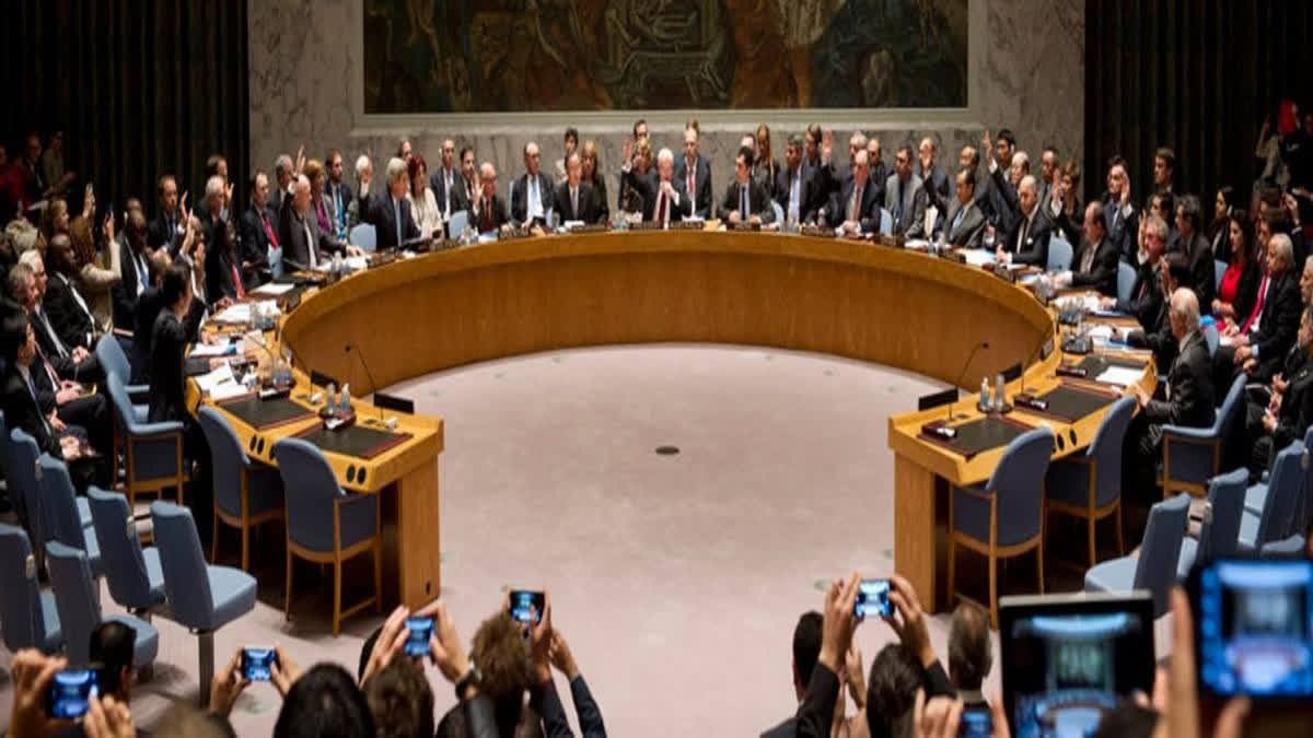 A UN Security Council meeting was interrupted by a rare 4.8 magnitude earthquake in New York, affecting New York City and other areas in the state, as diplomats felt the quake's tremors.
