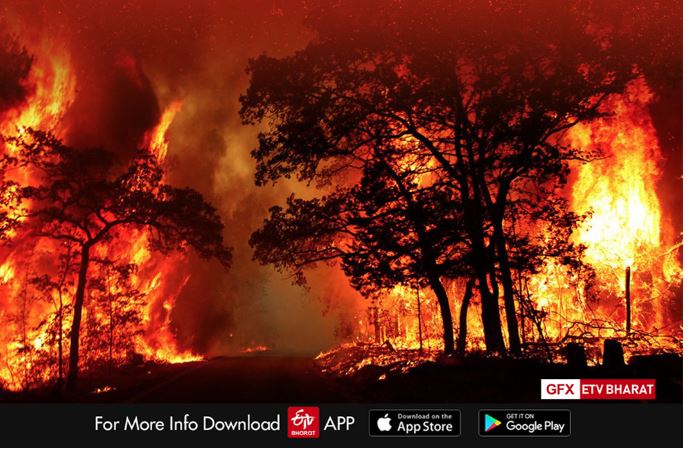 FOREST FIRE IN UTTARAKHAND