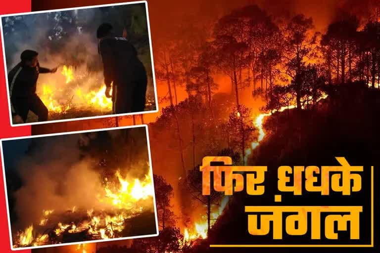 FOREST FIRE IN UTTARAKHAND