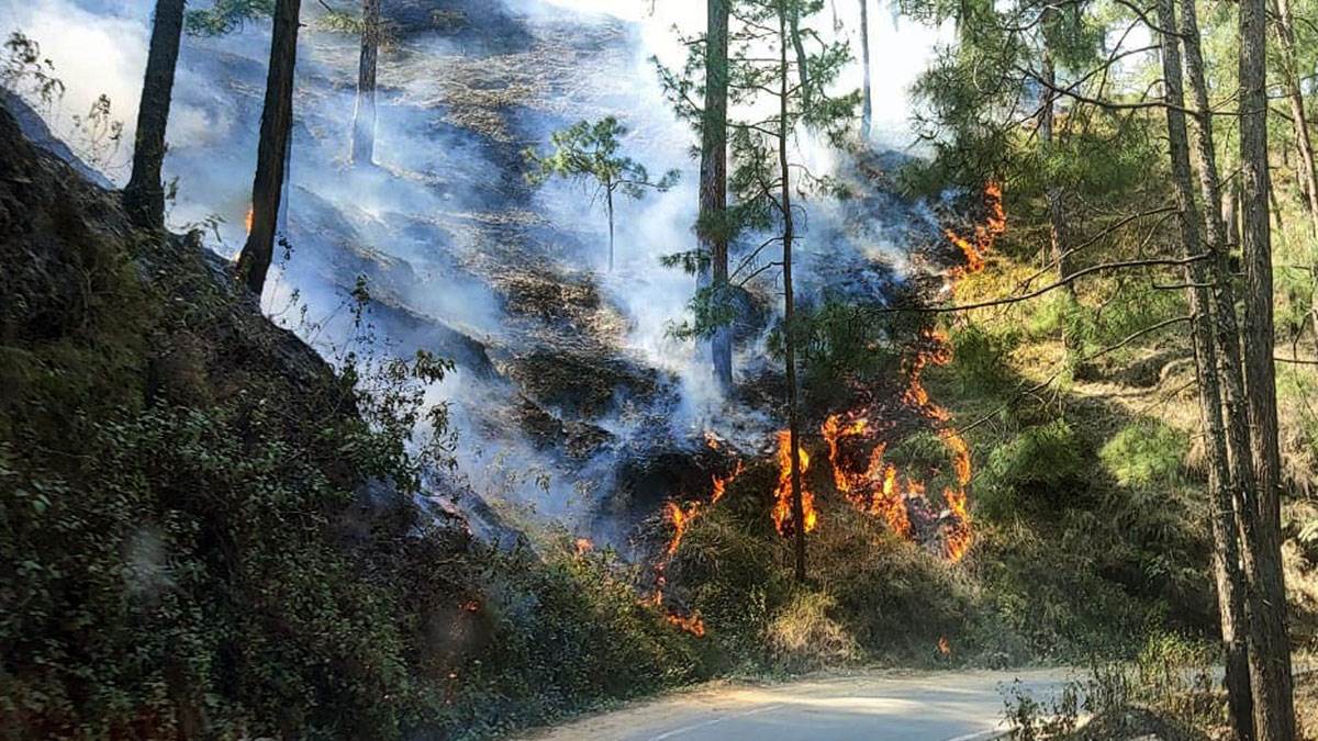 FOREST FIRE IN UTTARAKHAND