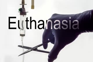 Euthanasia is the practice of ending the life of a patient to limit the patient's suffering.