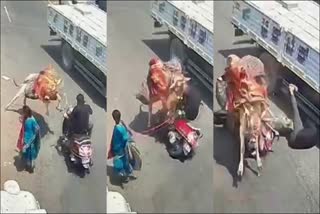 bull-attacks-on-bike-rider-in-bengaluru