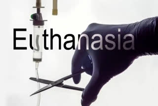 euthanasia-should-people-suffering-from-mental-illness-be-allowed-assisted-dying