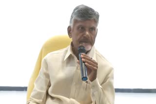 Chandrababu Naidu fire on CM Jagan