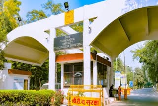दिल्ली टेक्नोलॉजिकल यूनिवर्सिटी