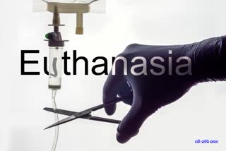 Euthanasia