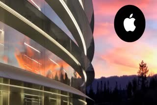 APPLE LAYs OFF 600 workers