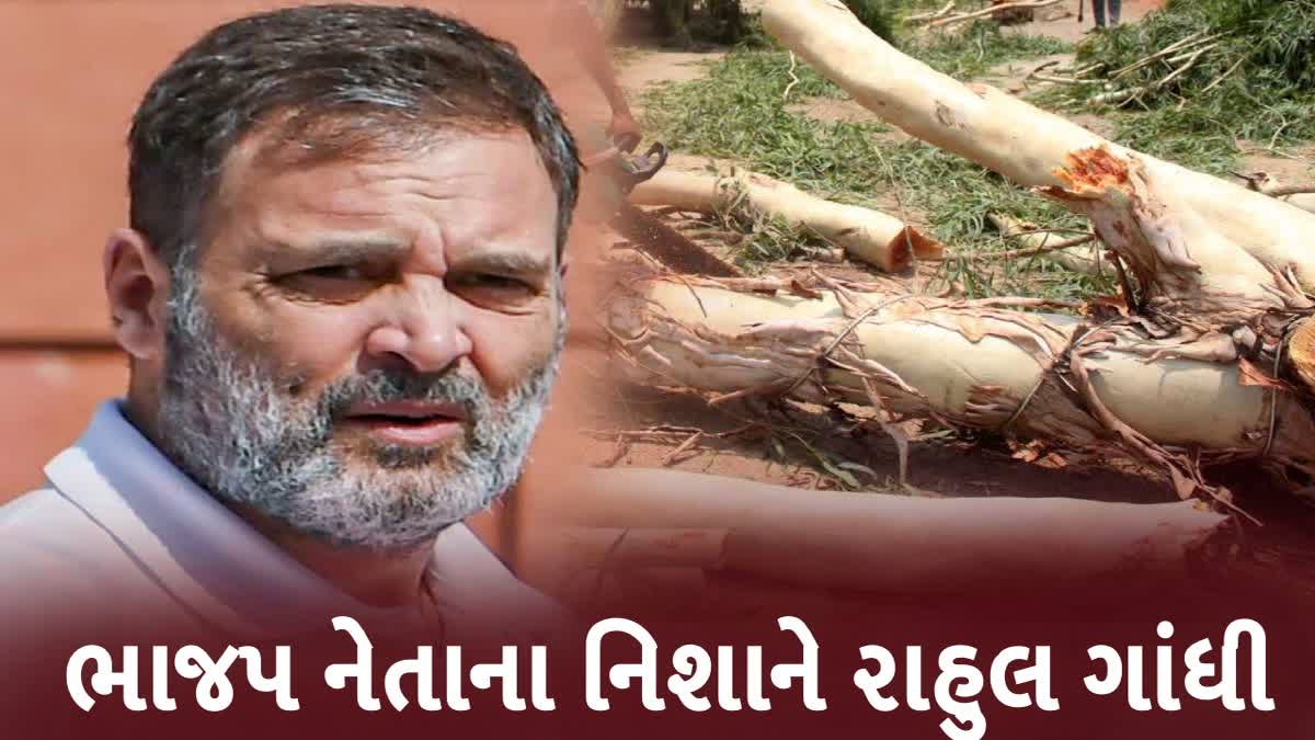 ભાજપ નેતા તજિન્દર બગ્ગાએ રાહુલ ગાંધી પર સાધ્યું નિશાન