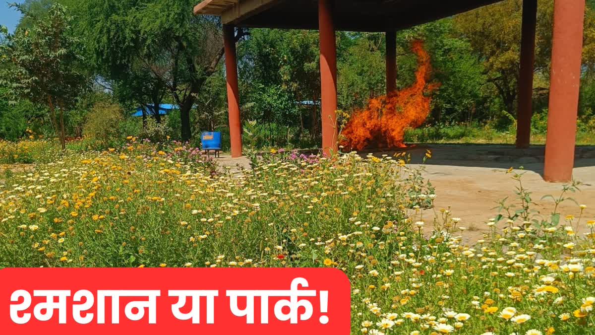 HISAR CREMATION GROUND BECOME PARK