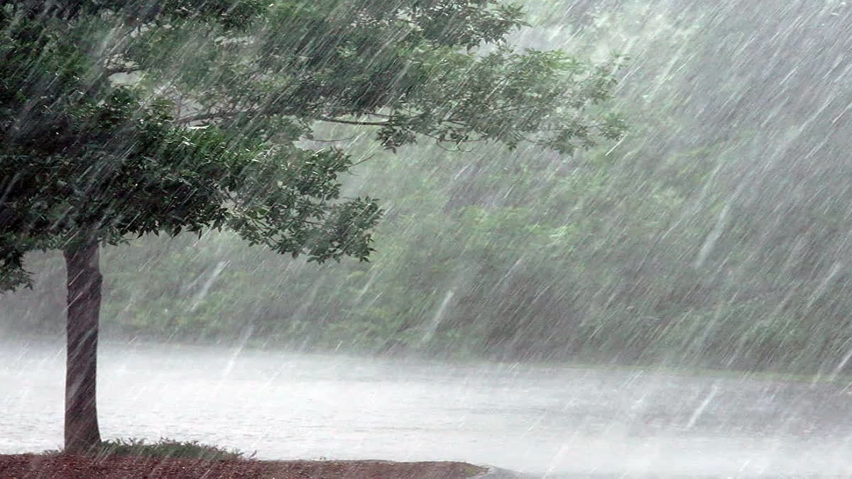 IMD Odisha Weather Forecast