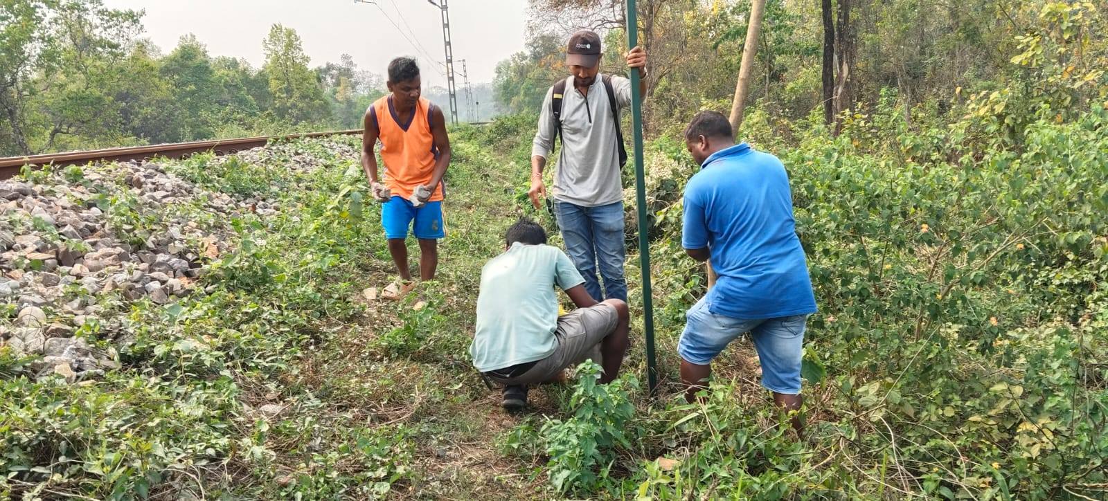 AI TO PREVENT ELEPHANT DEATH