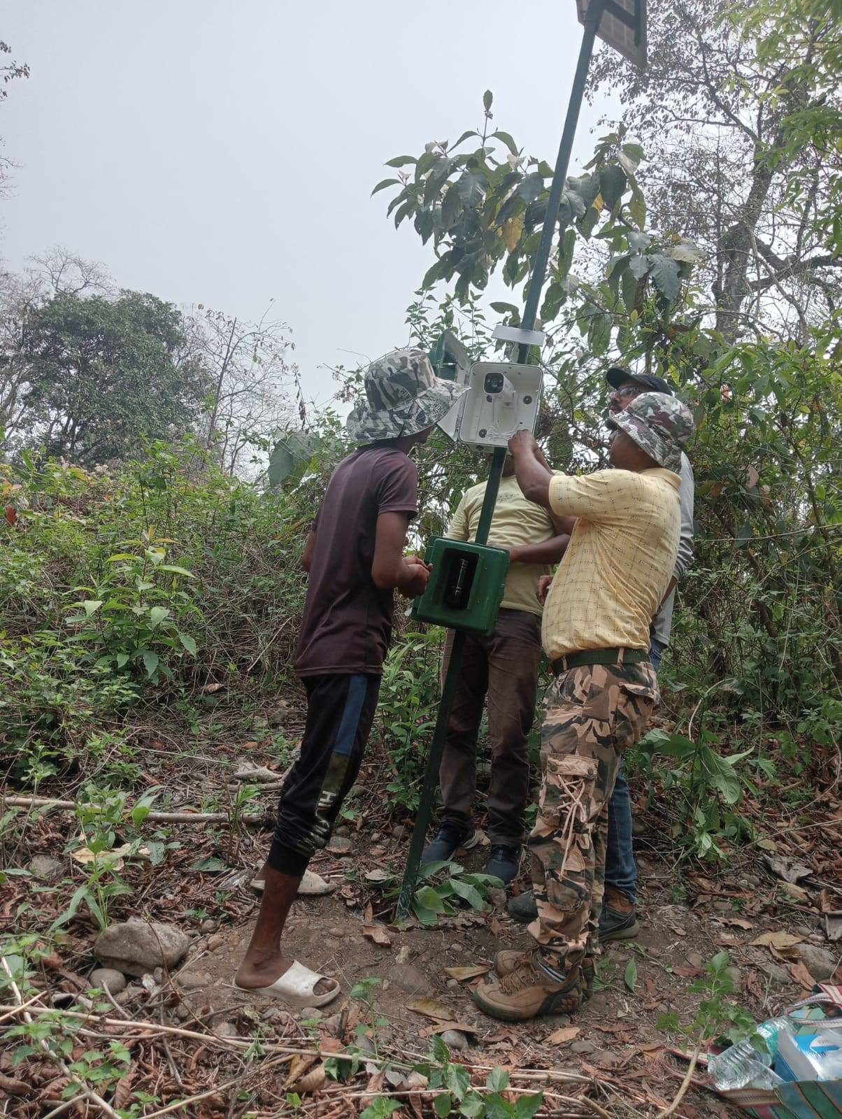 AI TO PREVENT ELEPHANT DEATH