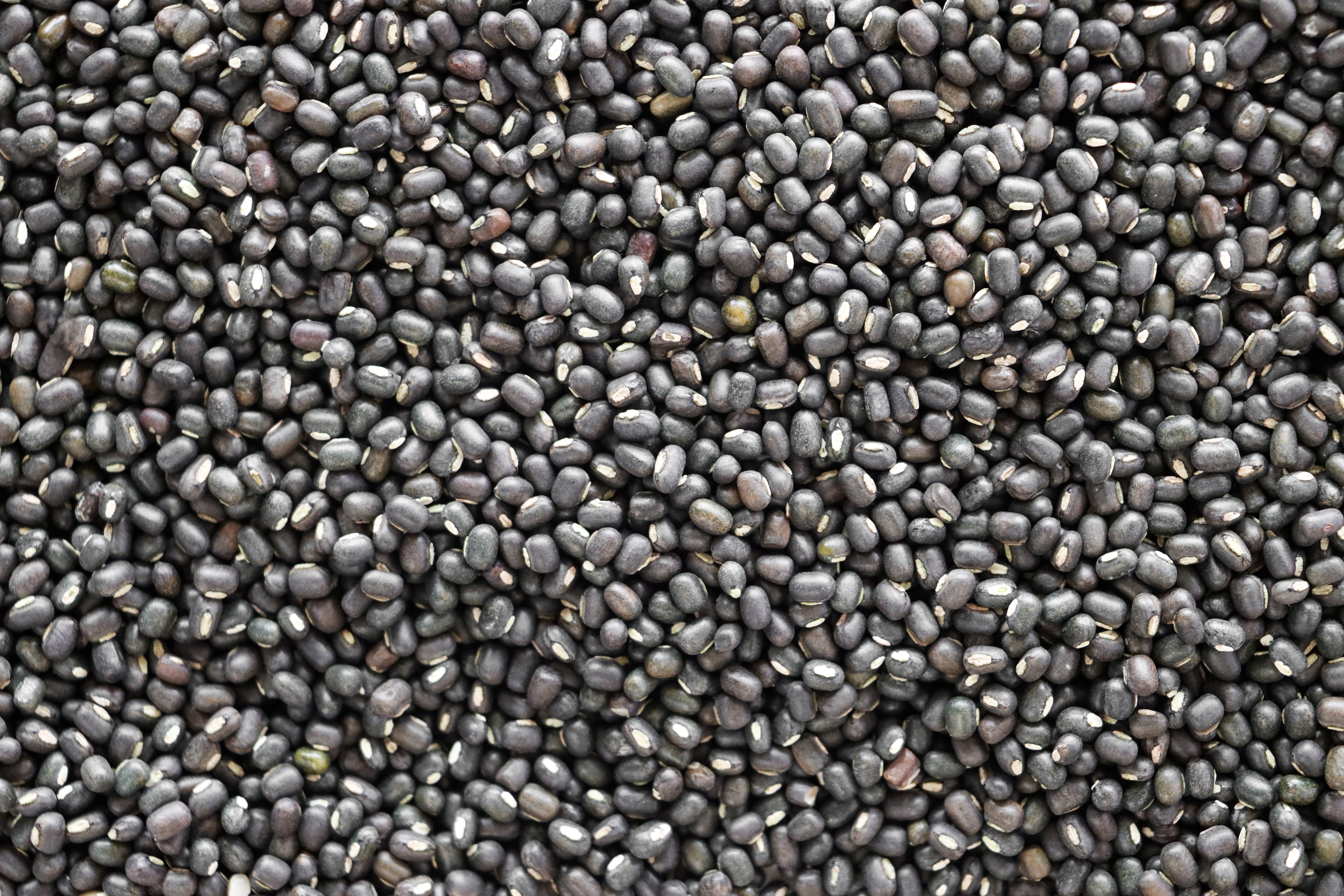 Urad Dal