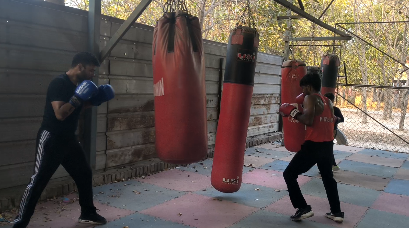Faridabad Boxing Academy is teaching professional boxing Youth are getting government jobs along with a shower of medals