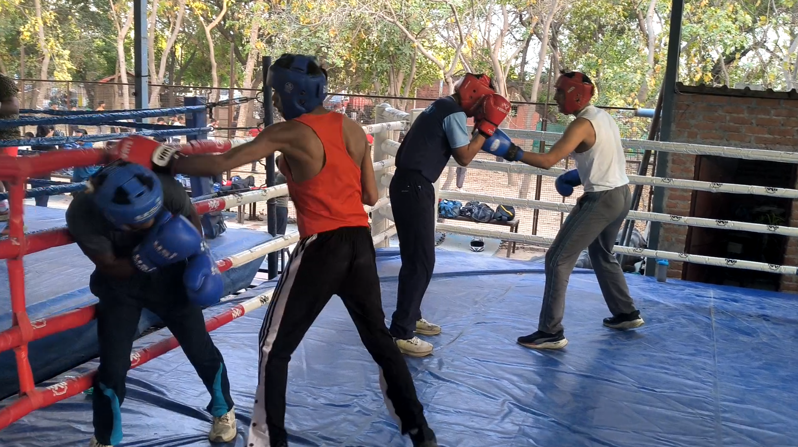 Faridabad Boxing Academy is teaching professional boxing Youth are getting government jobs along with a shower of medals