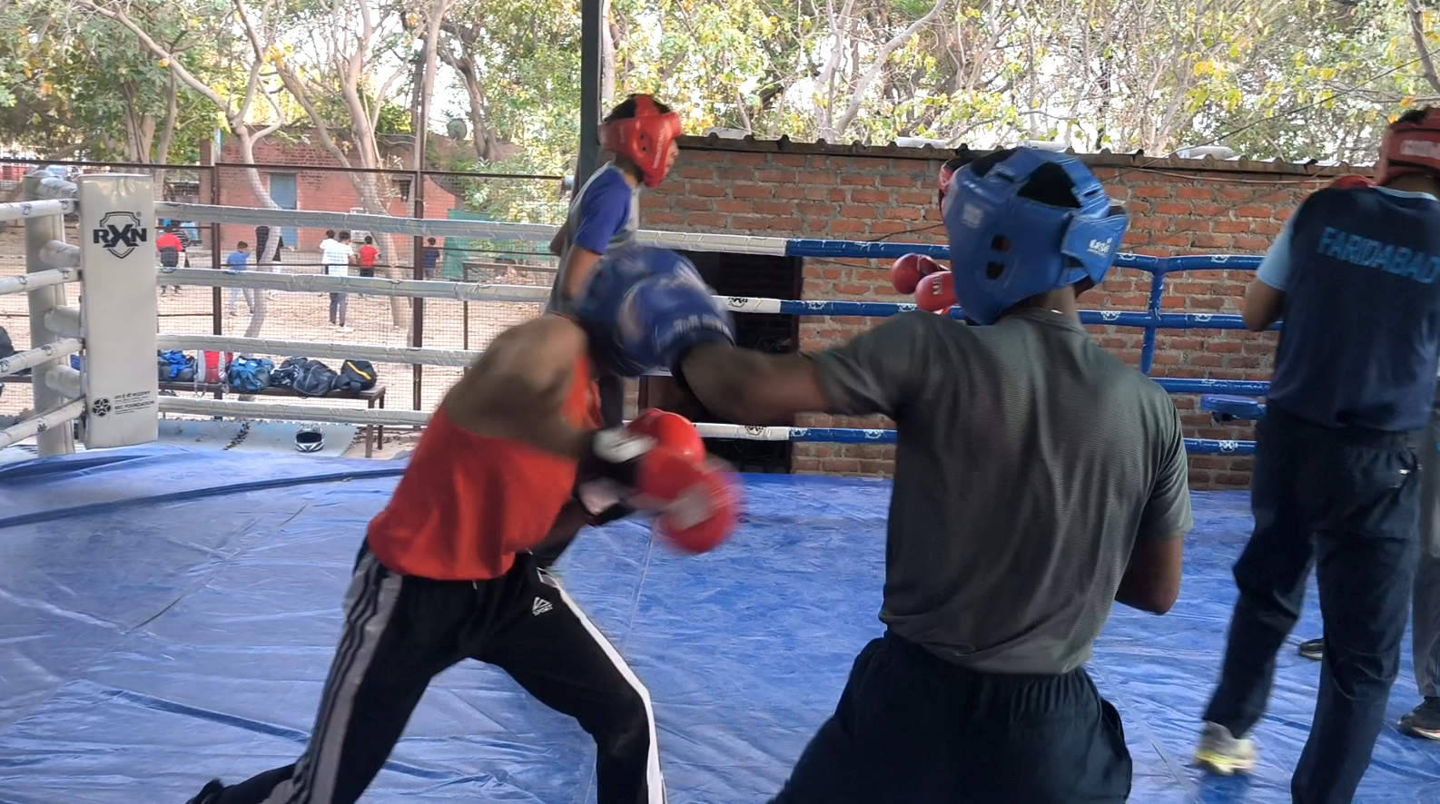 Faridabad Boxing Academy is teaching professional boxing Youth are getting government jobs along with a shower of medals