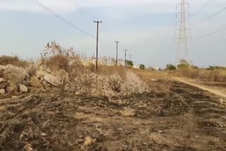 Photos of Peacocks Deer Fleeing from University of Hyderabad are AI-Generated Says Telangana Govt
