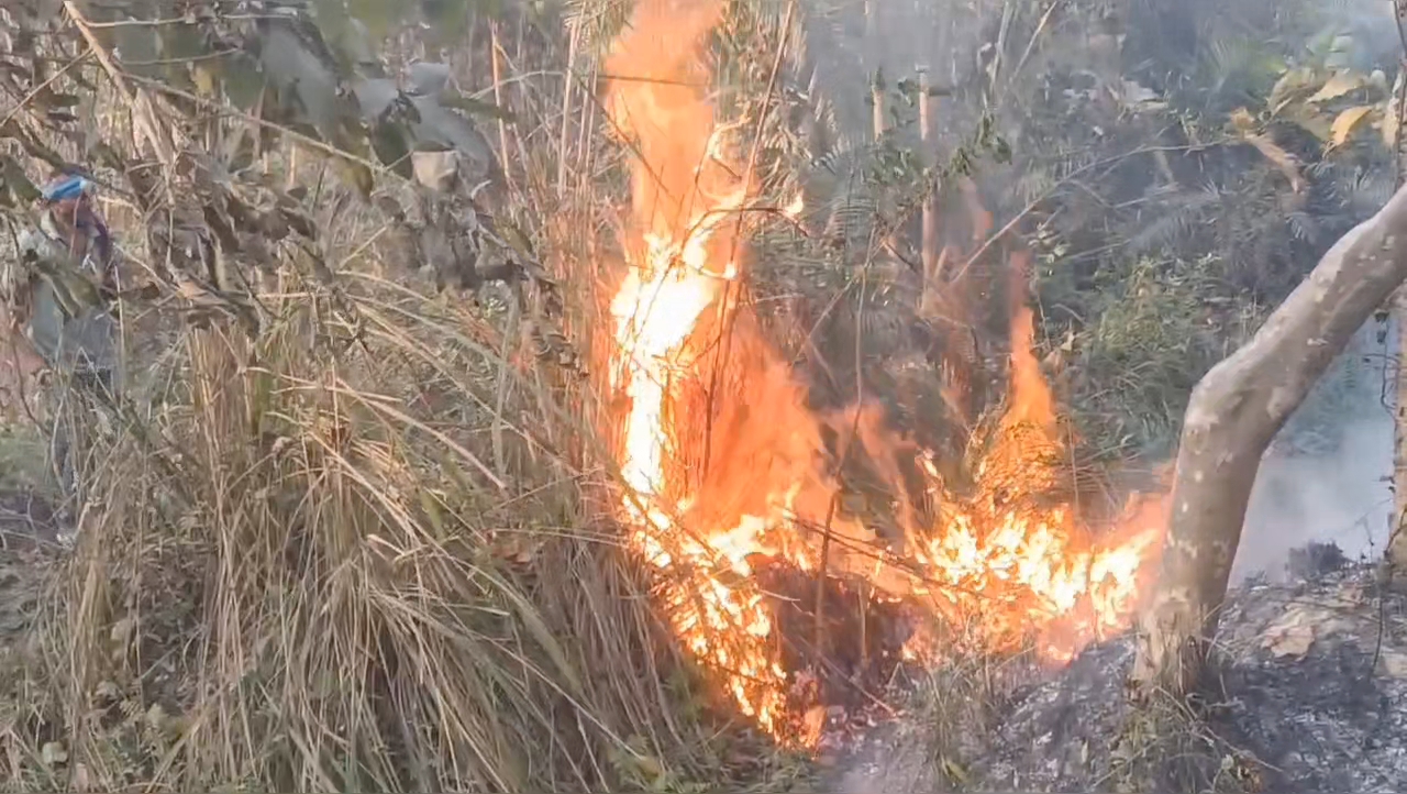 FIRE IN VALMIKI TIGER RESERVE