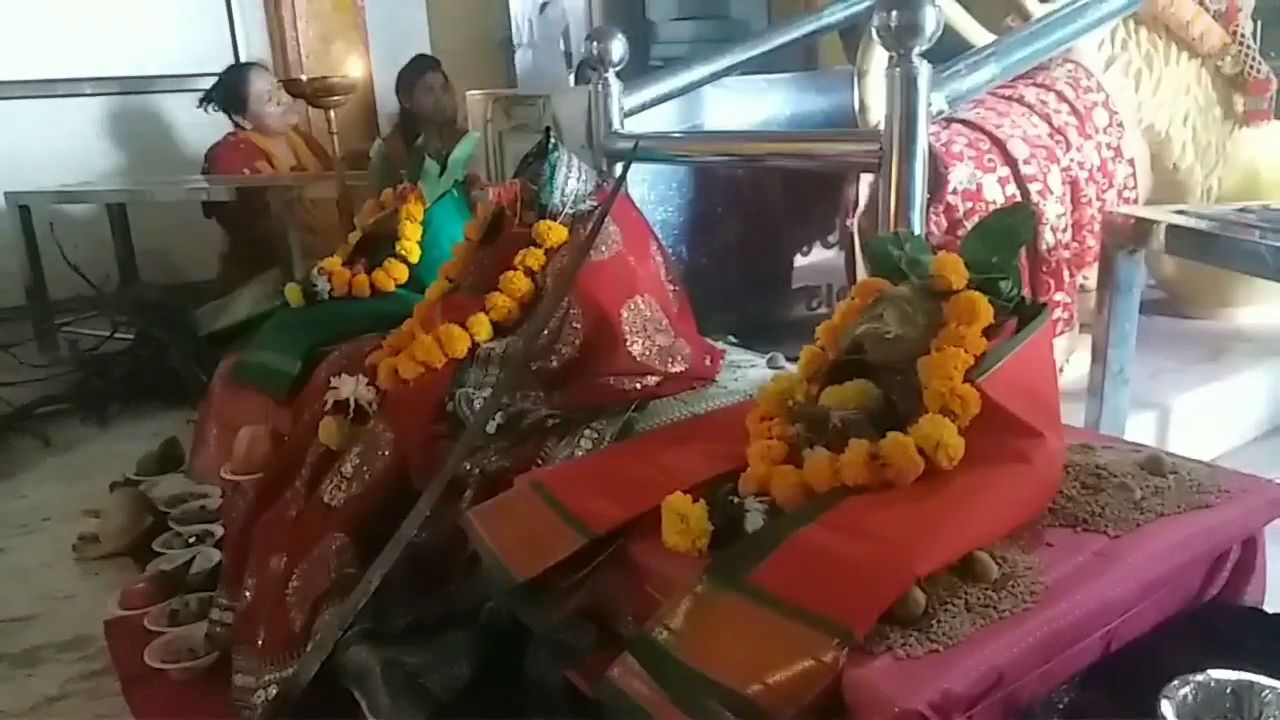 ગિરનાર પર્વત પર મા અંબાના ચરણોમાં યજ્ઞમાં અપાઈ આહુતિ