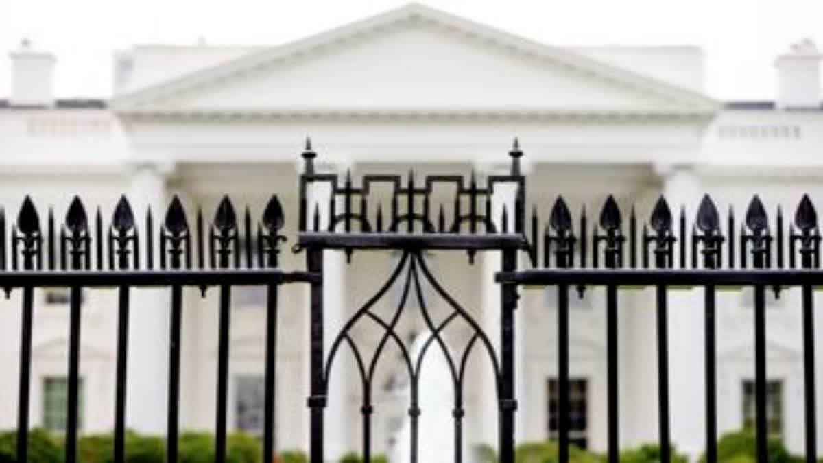 A driver died after a vehicle crashed into a gate at the White House. The incident is being investigated as a traffic crash. The male driver was found dead at the gate. Security protocols were implemented, but no threat was reported to the White House.